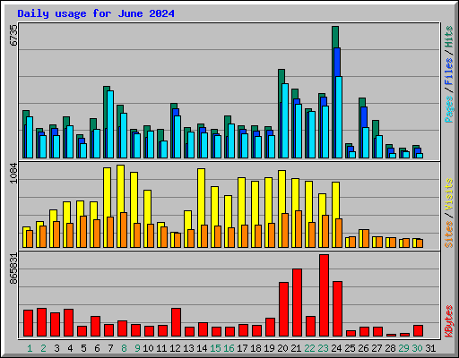 Daily usage for June 2024