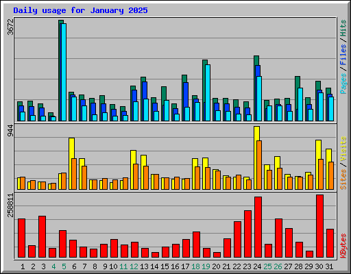 Daily usage for January 2025