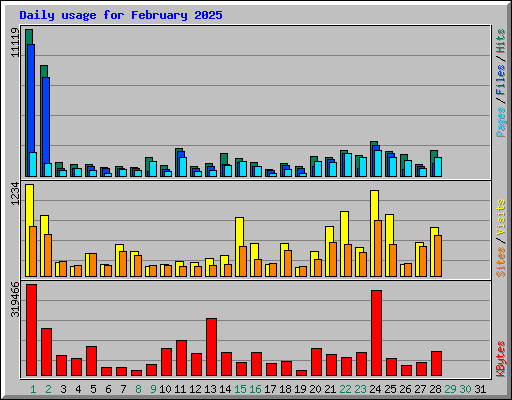 Daily usage for February 2025