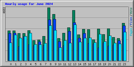 Hourly usage for June 2024