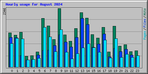 Hourly usage for August 2024