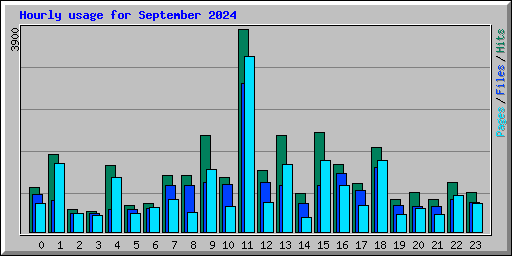 Hourly usage for September 2024