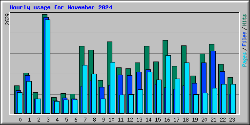 Hourly usage for November 2024