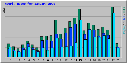 Hourly usage for January 2025