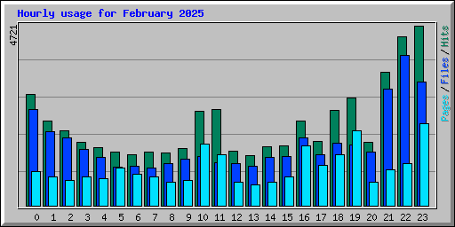 Hourly usage for February 2025