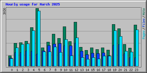 Hourly usage for March 2025