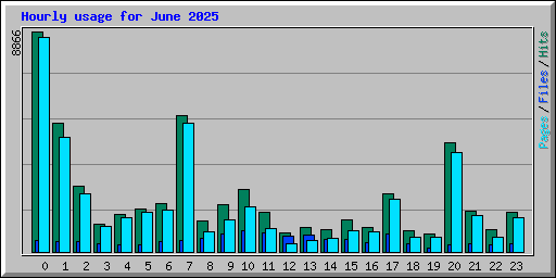 Hourly usage for June 2025