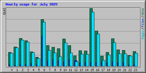 Hourly usage for July 2025