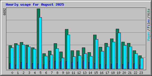 Hourly usage for August 2025